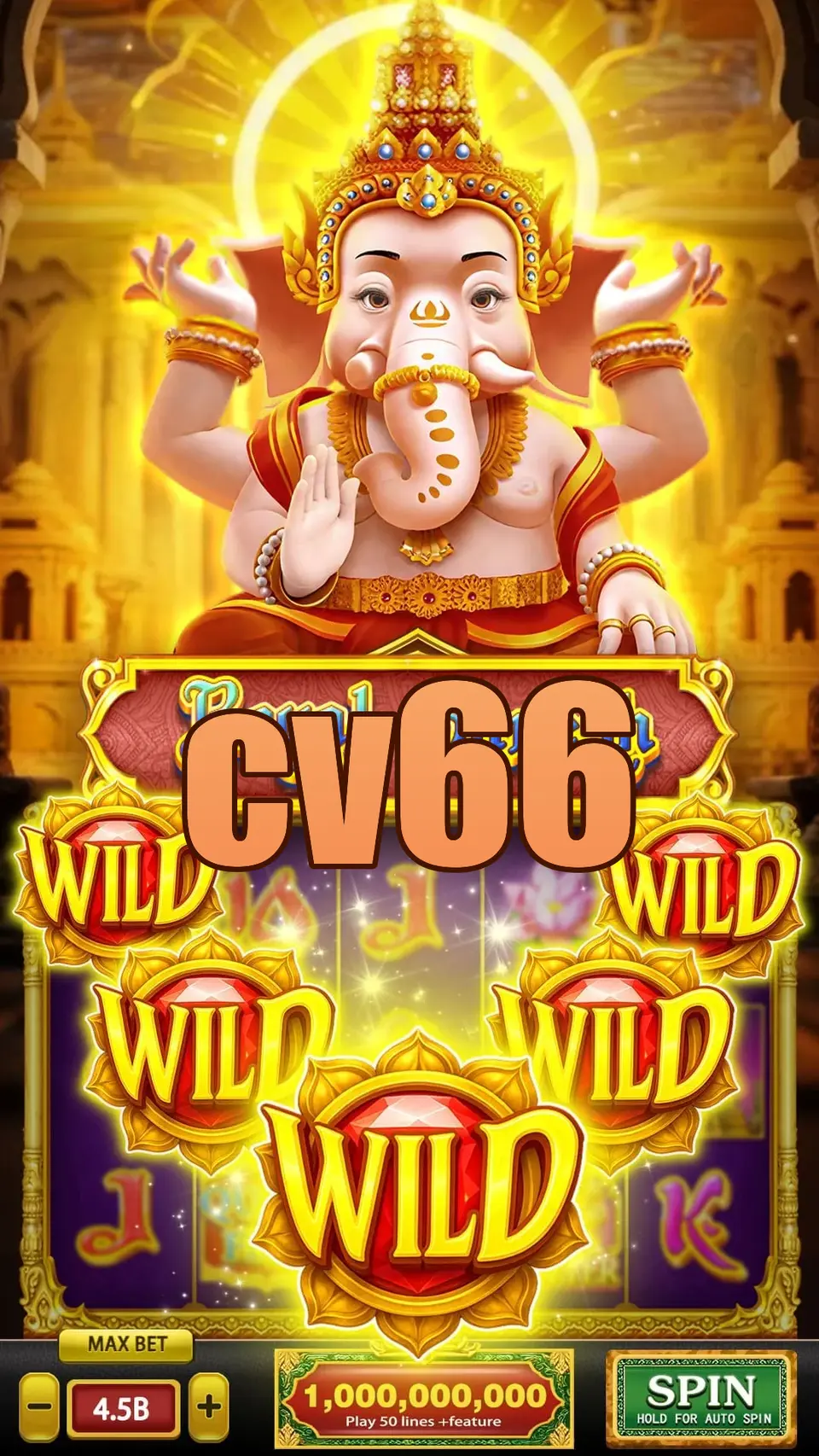 cv66 APK